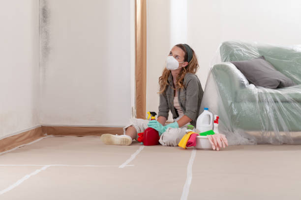 Reliable Mold Testing contractor in Rolesville, NC by WQB Mold Removal